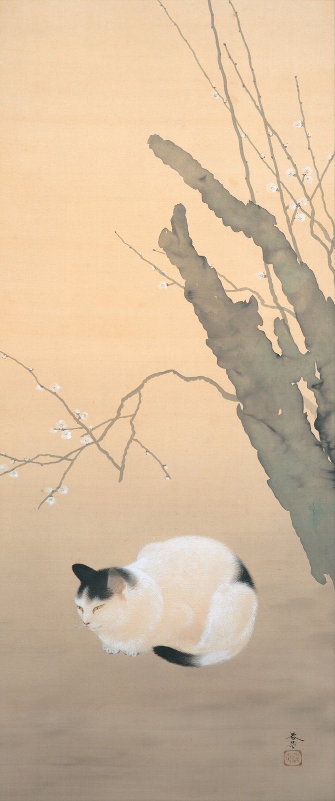 菱田春草《猫梅》(1906年、絹本著色)