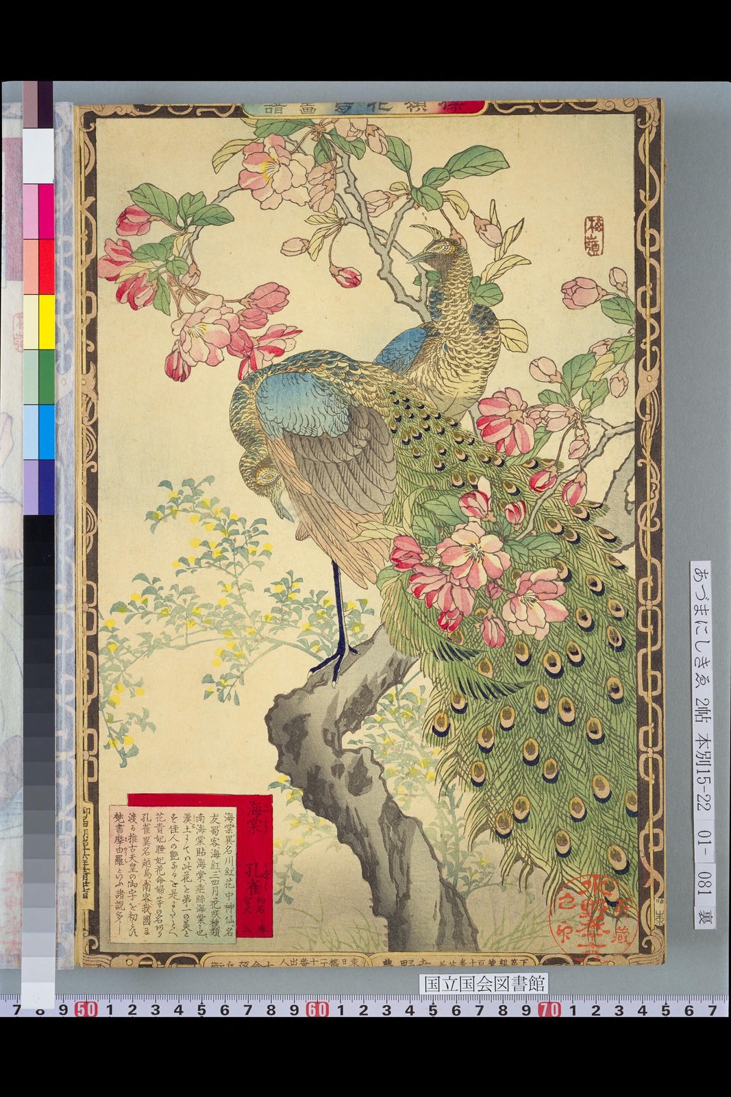 幸野楳嶺《楳嶺花鳥画譜 海棠・孔雀》(1883年、木版色摺、紙)